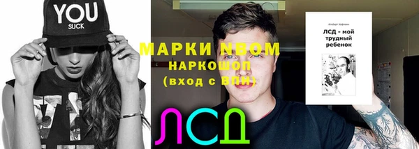 сатива Алексеевка